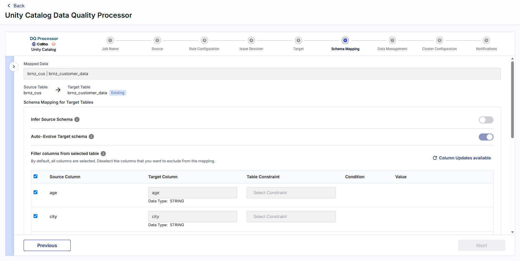 Column Updates Available_Schema Mapping